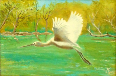 Jean Marie Ferrer artiste peintre de Provence, vente en ligne de tableaux à l'huile au couteau sur toile au couleurs de la Provence. La spatule en vol.